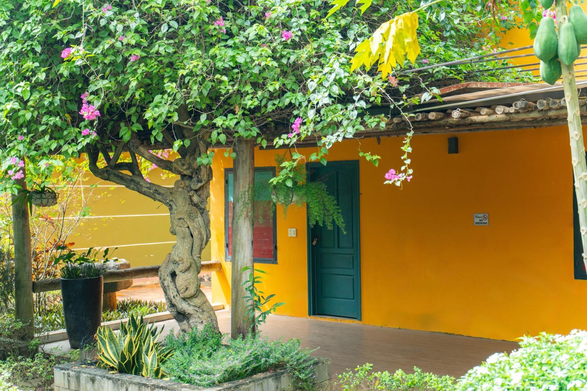 Greenfield Farmstay Vung Tau Ba Ria Exterior foto